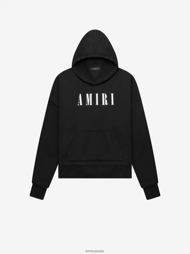 Clothing AMIRI Brand Core Logo Hoodie Black Men ZXNJX8157