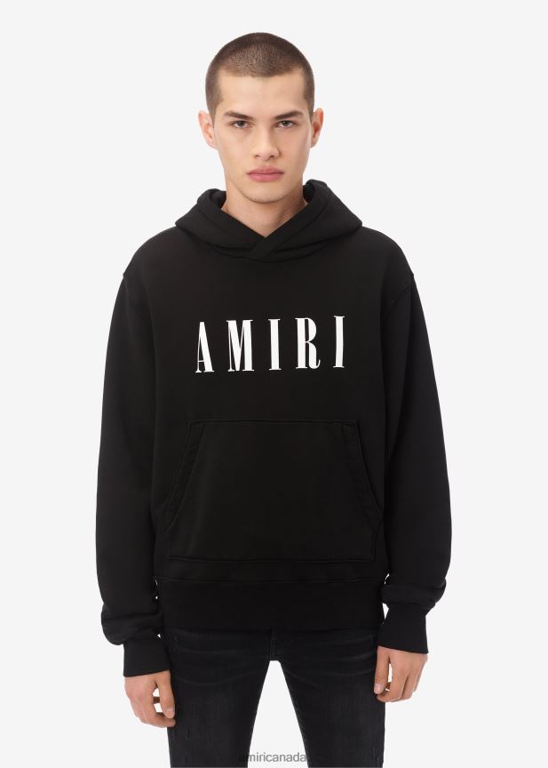 Clothing AMIRI Brand Core Logo Hoodie Black Men ZXNJX8157
