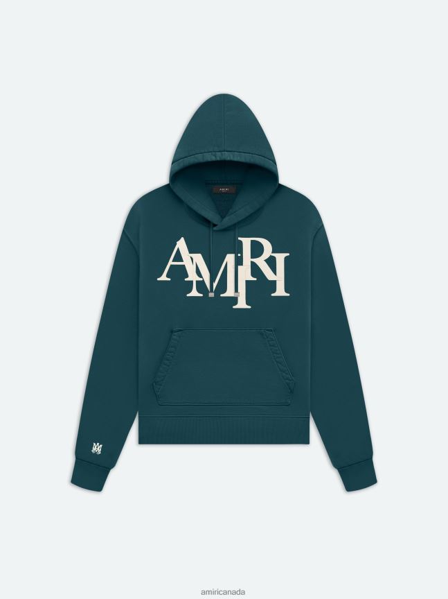 Clothing AMIRI Brand Staggered Logo Hoodie Rain Forest Men ZXNJX8139