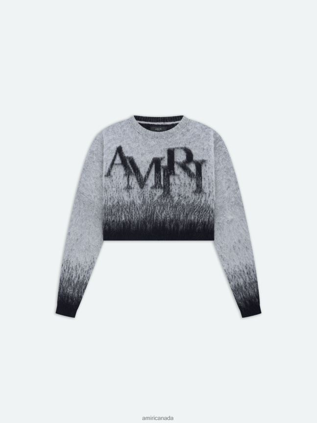 Clothing AMIRI Brand Staggered Ombre Crew Grey Women ZXNJX8259