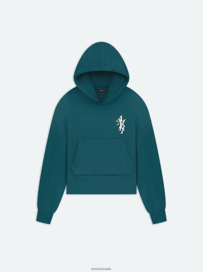 Clothing AMIRI Brand Stack Hoodie Rain Forest Women ZXNJX8278