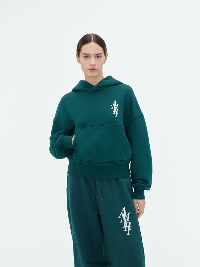 Clothing AMIRI Brand Stack Hoodie Rain Forest Women ZXNJX8278
