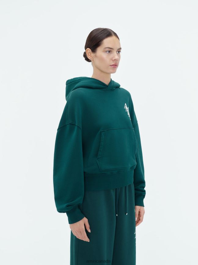Clothing AMIRI Brand Stack Hoodie Rain Forest Women ZXNJX8278