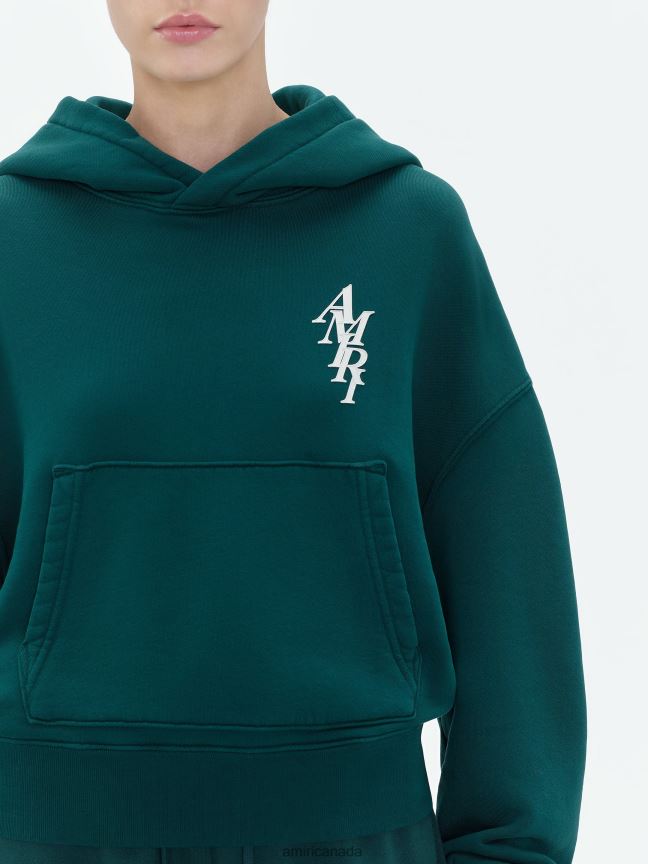 Clothing AMIRI Brand Stack Hoodie Rain Forest Women ZXNJX8278